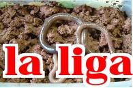 Kỹ thuật nuôi giun đất
