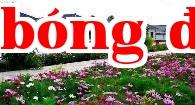 Vào năm 2020, nông thôn sẽ đón 6 thay đổi lớn, xây dựng xã hội khá giả toàn diện