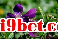 Dã mộc đàn nhiều hoa
