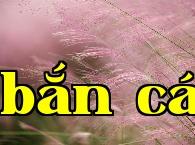 Cỏ hồng pha lê