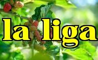 Các biện pháp quản lý vườn dâu tằm