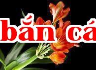 Hoa thành phố Trường Xuân – Hoa lan quân tử