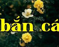 Hoa thành phố Phúc Tân – Hoa hồng gai vàng