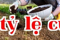 Làm thế nào để cải thiện đất cứng