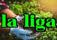 Hai loại dung dịch phân bón giải quyết hiệu quả vấn đề đất đai